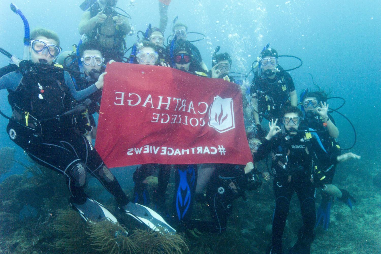 学生们手持<a href='http://n01.tsunoi-toso.com'>bv伟德ios下载</a>旗帜，在j学期洪都拉斯游学之旅中潜水.
